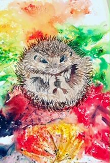 Brusho Hedgehog