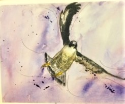 Calder Graphics workshop