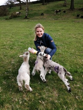 8778b7b1-bc87-4e28-9067-abc74e488384