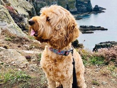 139CC2E5-E443-4F88-A90B-17925C86D3C8