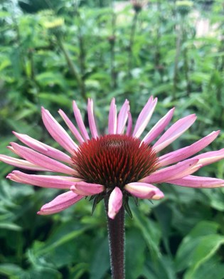 1756F19C-63B4-4A5E-BADF-39443BAD92D2