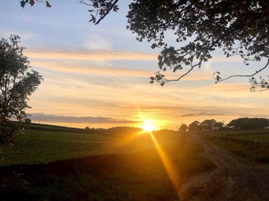 371009BE-C3E0-4E24-934A-7364DBF86075