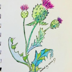 F9C5A05E-F267-47D4-B0AF-FBBEE1BCC834