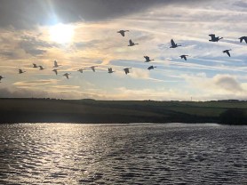 A7700EE4-AE24-4A6A-A4D9-BCA0A301666B