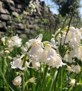 C9445D2F-E6A2-4890-9E75-B7A01C04261A