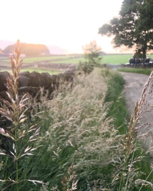 90471D36-586E-4B1E-8D6D-B4BAF70C3459